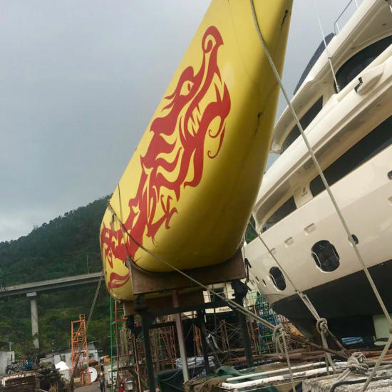 China's first America's Cup-class yacht, CHN 95 Longtze, discovered 'high and dry' in Hong Kong